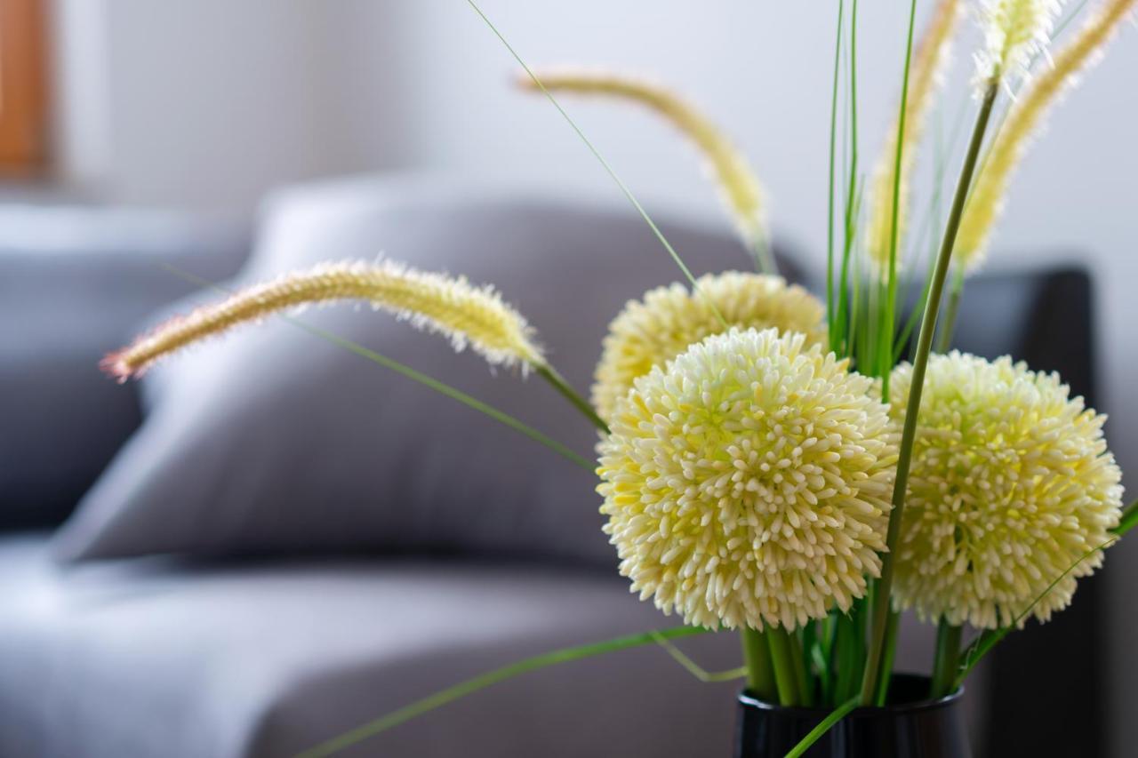 سيركلجي نا جورينجسكيم Pjagodic Apartments & Wellness المظهر الخارجي الصورة